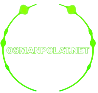 Osman%20Polat%20|%20Bilgisayar%20Mühendisi
